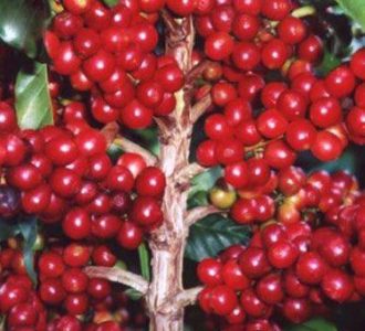 photo_3_2025-12-16_14-07-11