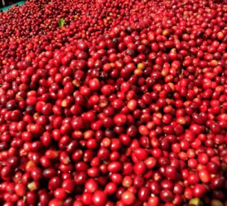 photo_4_2025-12-16_14-07-11